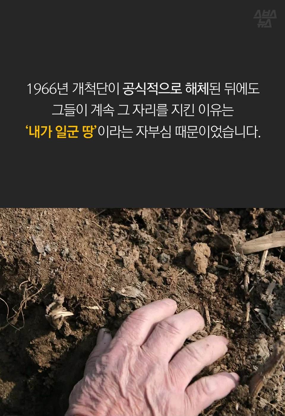 1966년 개척단이 공식적으로 해체된 뒤에도 그들이 계속 그 자리를 지킨 이유는
‘내가 일군 땅’이라는 자부심 때문이었습니다.