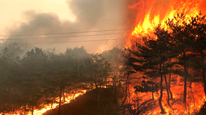 [영상] 고성 산불 강풍 타고 축구장 49배 면적 태워&hellip;탄약 등 전투 물자 옮겨