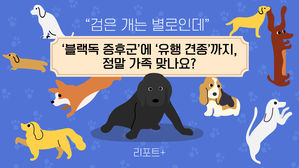 [리포트+] "검은 개는 별로인데"…'블랙독 증후군'에 '유행 견종'까지, 정말 가족 맞나요?