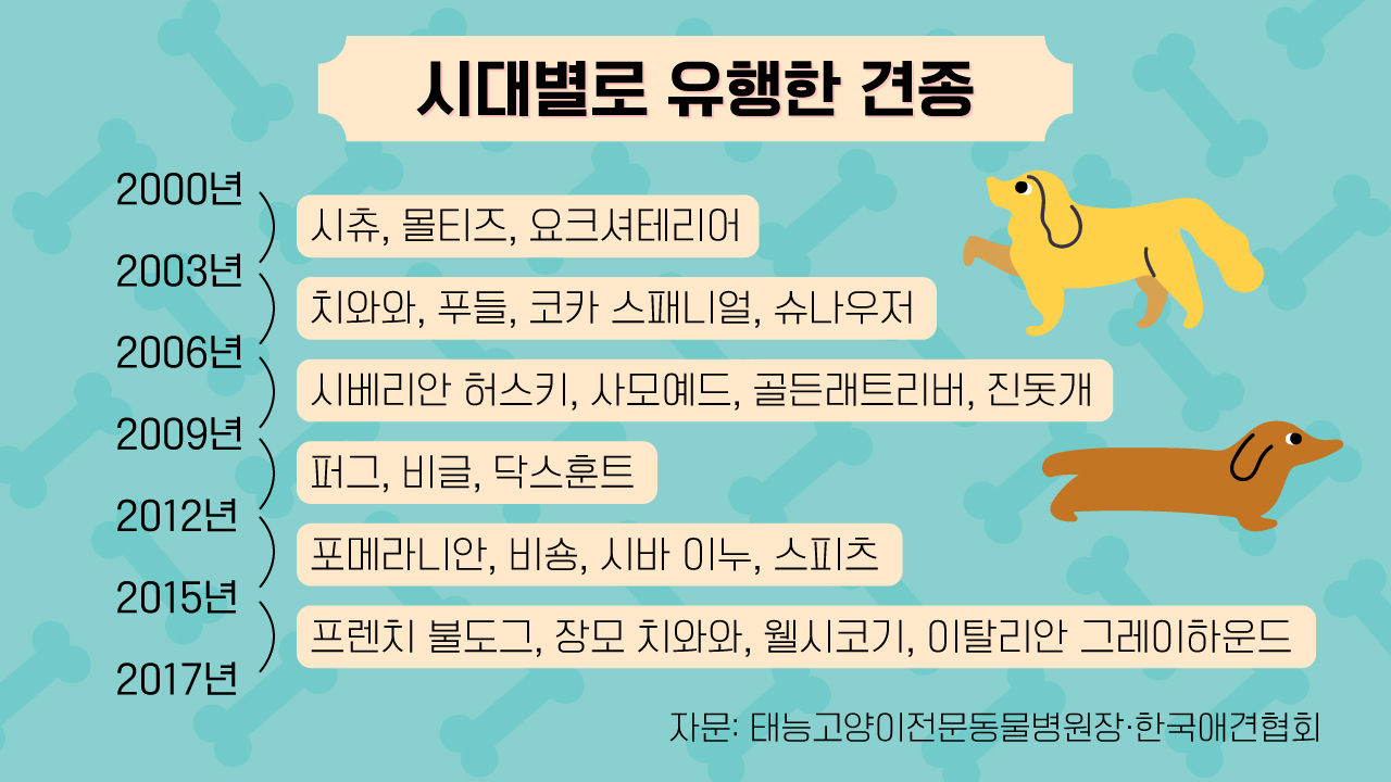 *그래픽
시대별로 유행한 견종
(표)
*자문: 태능고양이전문동물병원장·한국애견협회 //