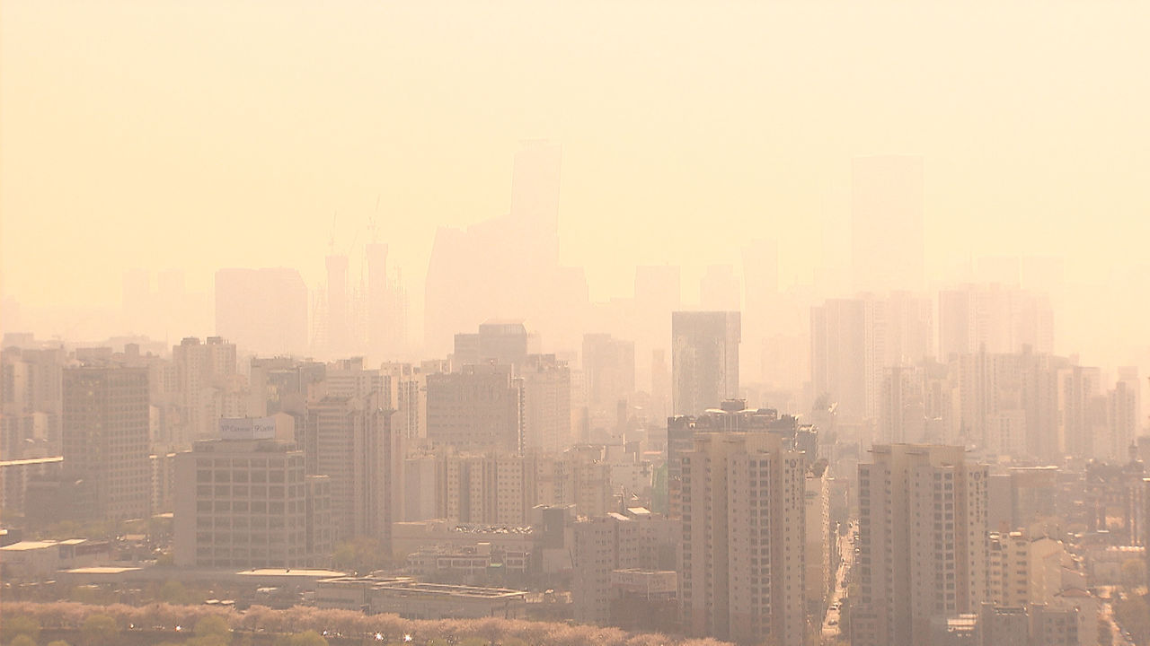 기사 대표 이미지:제주도 전역 오후 5시 미세먼지 주의보 발령