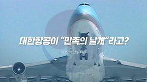[인사이트] 대한항공이 "민족의 날개"라고?