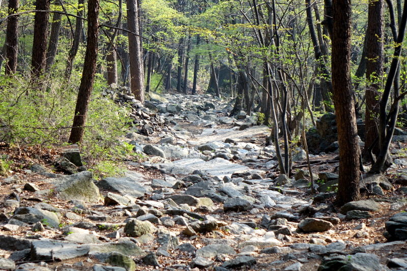 설사 그 길이 험하다 할지라도, 삶은 지금 이 순간이다.