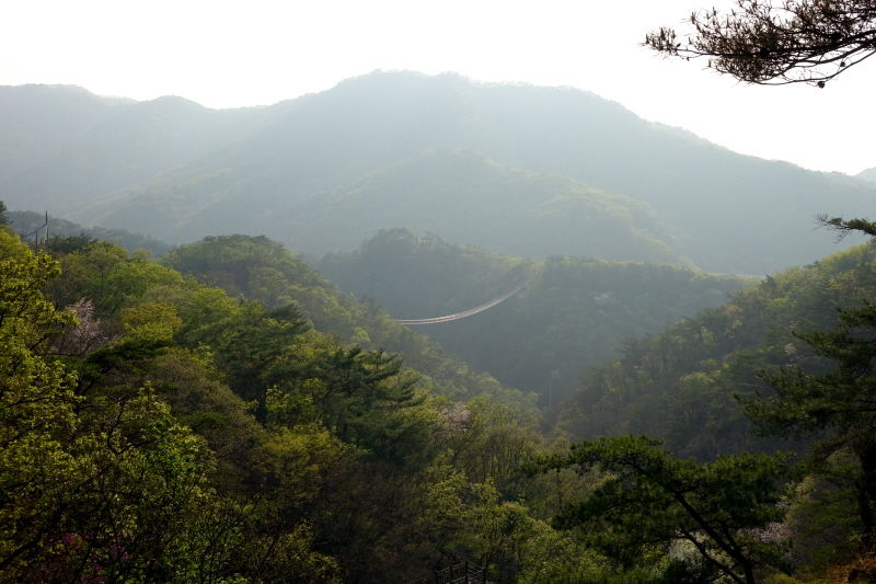 저 멀리 출렁다리가 걸려 있다. 돌아갈 자리다.