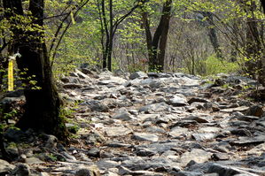 [라이프] '임꺽정의 난', 새로운 세상을 꿈꾸다 - 파주 감악산 둘레길 ②