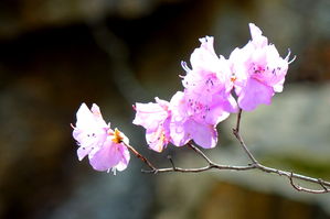 [라이프] 올라갈 때의 그 길은 길도 아니었구나! - 파주 감악산 둘레길 ③