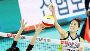 여자배구 흥국생명, FA 김세영·김미연 영입