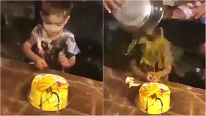 생일케이크 자르는 아이에게 날달걀 세례 퍼붓는 가족