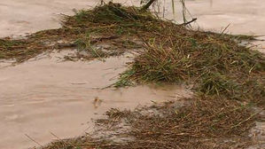 수도권 천둥번개 '기습 폭우'&hellip;급류에 휩쓸린 남성 사망
