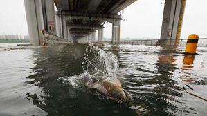 서울 폭우로 교통사고 5명 사상·잠수교 통제…비 피해 잇달아
