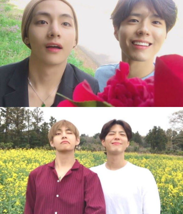 Park Bo Gum, BTS