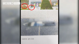 하늘에서 떨어진 30cm 식칼…"공중 보니 누군가 창문 닫아"