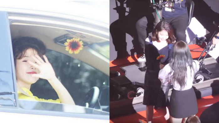 IU Still Has the Flower from TWICE NAYEON!