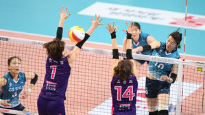 여자배구 현대건설, FA 보상 선수로 정시영 지목