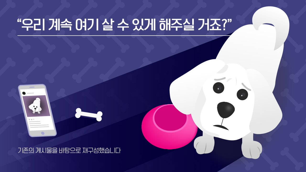 [리포트+] '또 버려지고 싶지 않아요