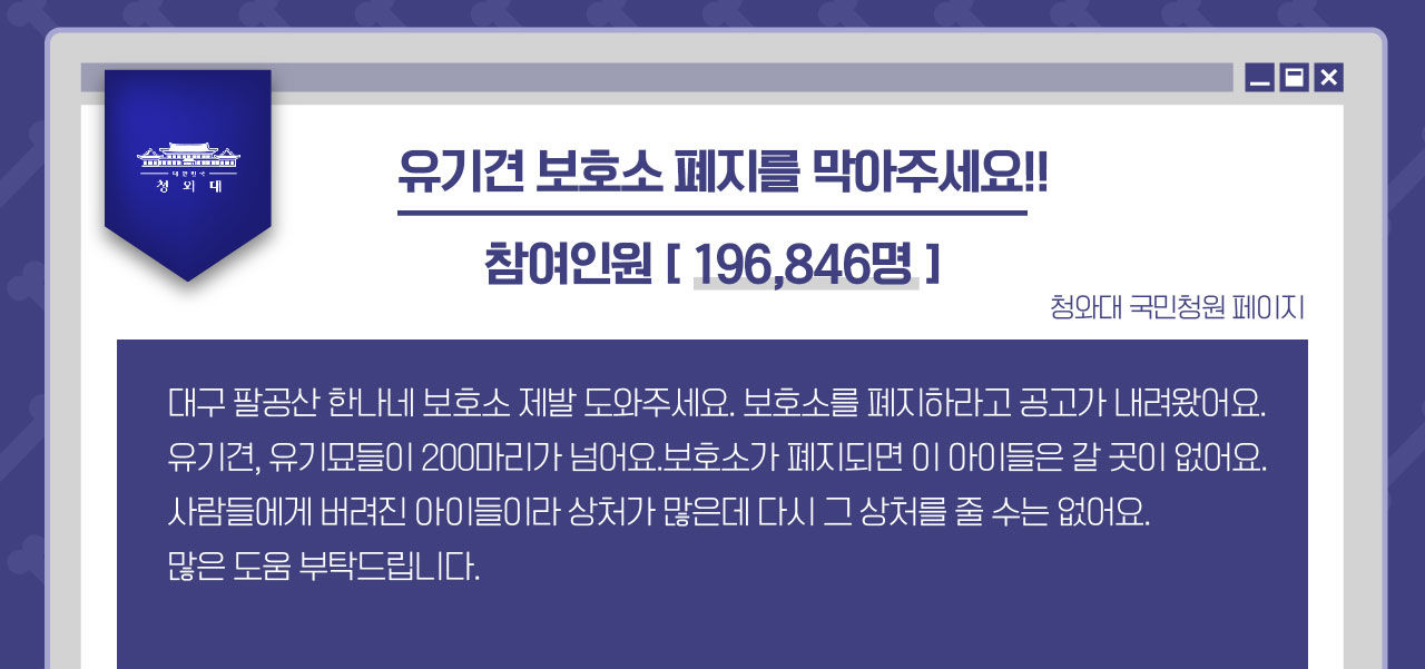 [리포트+] '또 버려지고 싶지 않아요