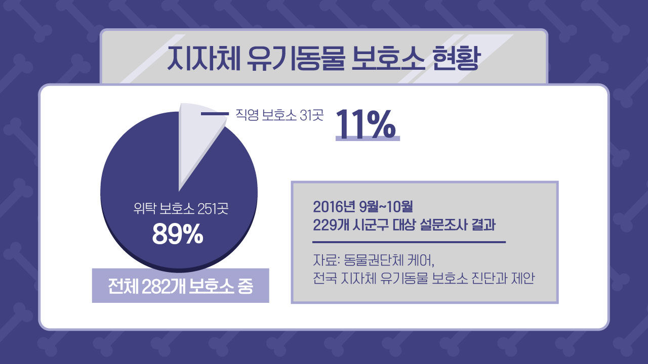 [리포트+] '또 버려지고 싶지 않아요