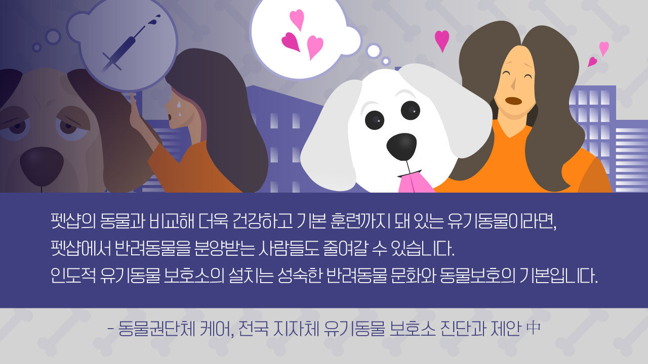 [리포트+] '또 버려지고 싶지 않아요