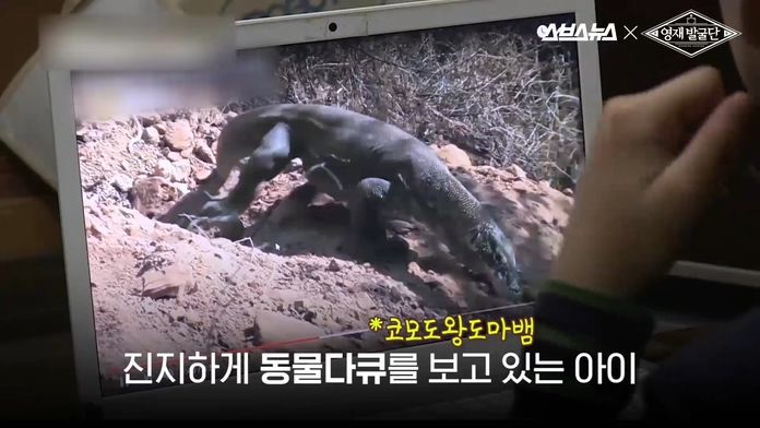 진지하게 동물 다큐를 보고 있는 아이