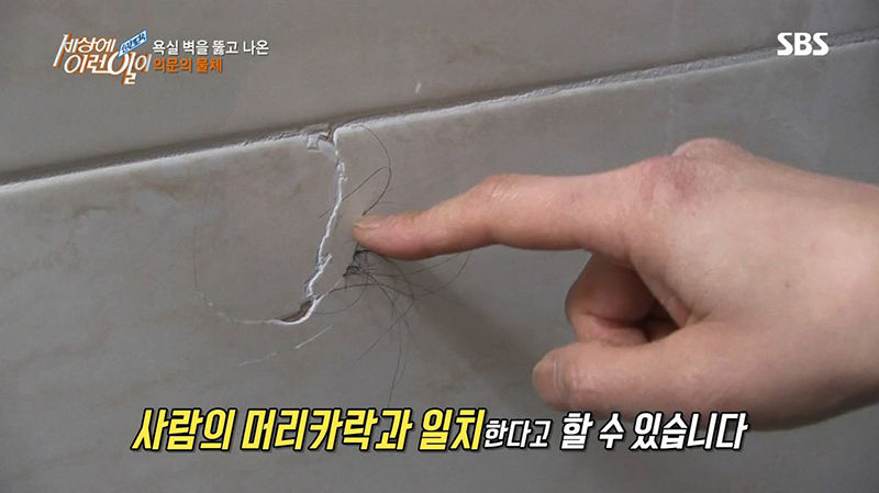 욕실 벽을 뚫고 자라난 검은 머리카락...그 정체는?