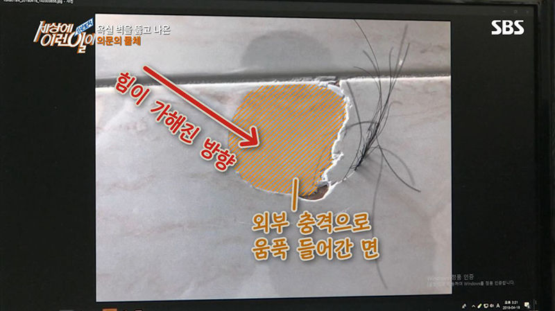 욕실 벽을 뚫고 자라난 검은 머리카락...그 정체는?