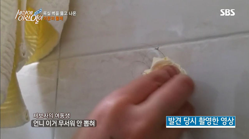 욕실 벽을 뚫고 자라난 검은 머리카락...그 정체는?