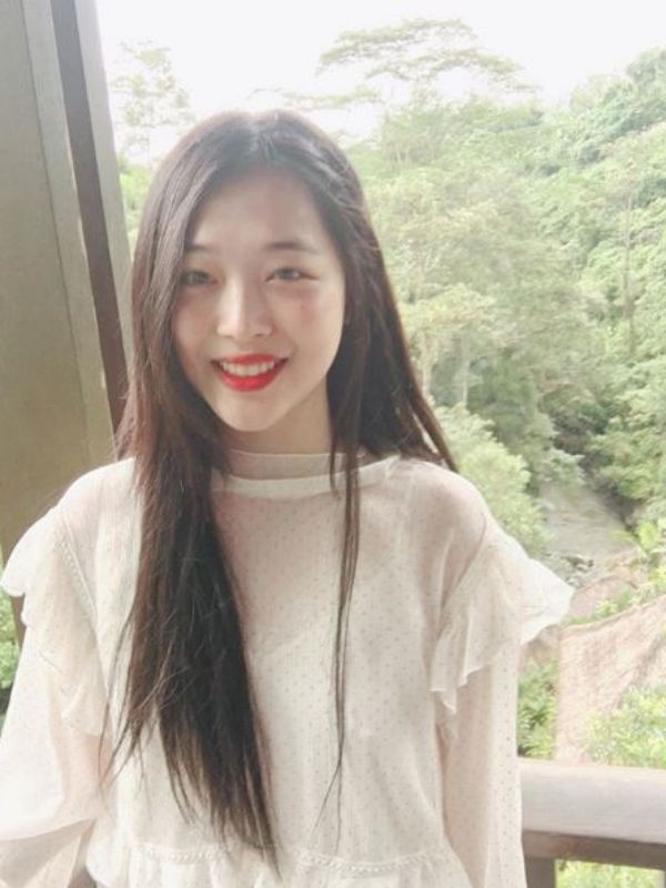 Sulli, SEUNGRI