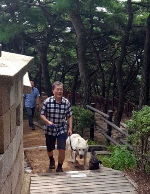 문 대통령, 반려견 '마루'와 북악산… 시민들 '찰칵'