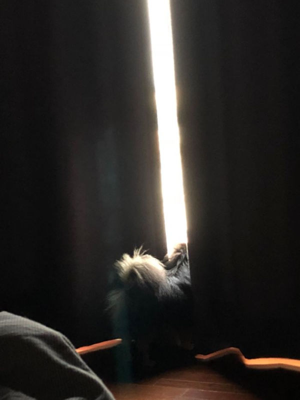 BTS