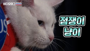 2018 러시아 월드컵 '공식 점쟁이'의 정체는?