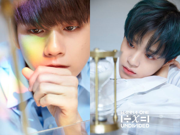 Wanna One The Heal