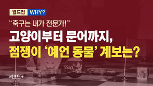 [리포트+] "축구는 내가 전문가!"…고양이부터 문어까지, 점쟁이 '예언 동물' 계보는?
