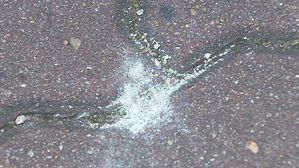 아파트 고층에서 보도블록 투척…파편에 어린이 부상