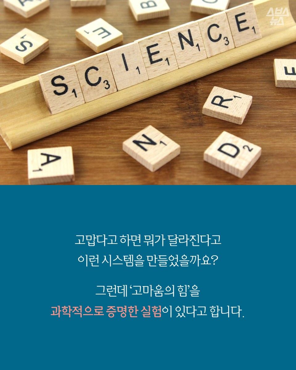 관련 사진