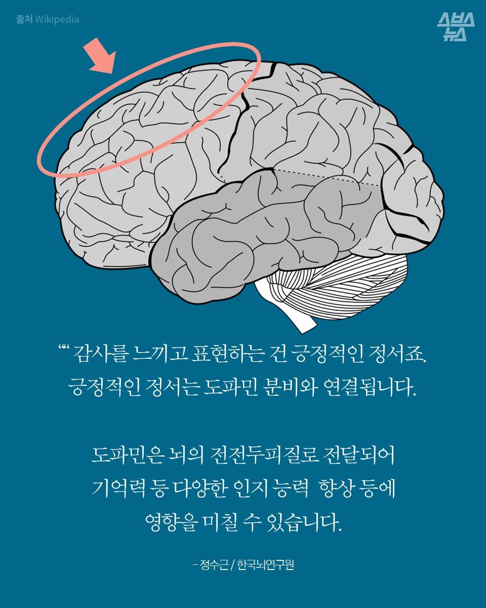 ““ 감사를 느끼고 표현하는 건 긍정적인 정서죠.
긍정적인 정서는 도파민 분비와 연결됩니다.
도파민은 뇌의 전전두피질로 전달되어
기억력 등 다양한 인지 능력 향상 등에
영향을 미칠 수 있습니다.
- 정수근 / 한국뇌연구원