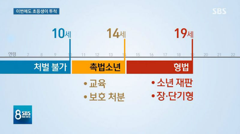 범죄소년, 촉법소년, 범법소년의 구분(사진=SBS 8 뉴스 제공)