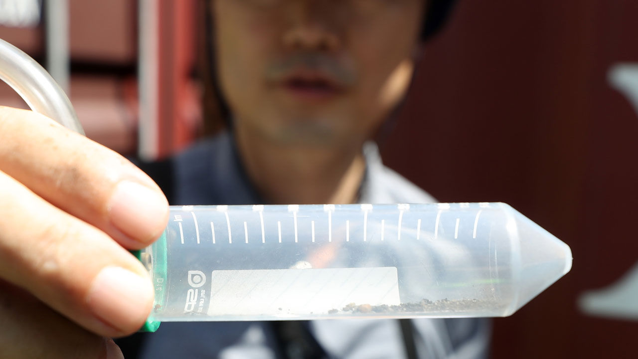 기사 대표 이미지:인천항서 국내 최초 붉은불개미 여왕개미 발견…확산 가능성 작아