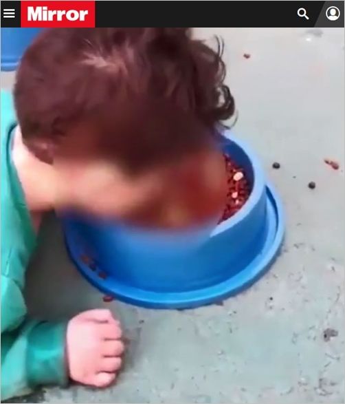 '점심 먹고 있니?