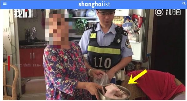 사라진 반려 토끼…이웃집 아주머니 냄비 속 백숙 재료로 돌아와