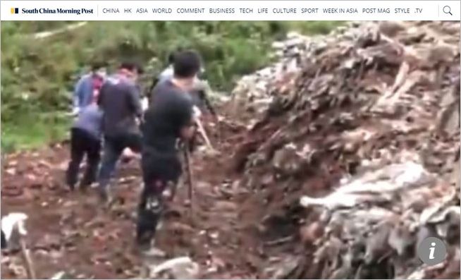 장난감 찾으려 쓰레기 더미 뒤지다가…붕괴 사고로 목숨 잃은 아이들