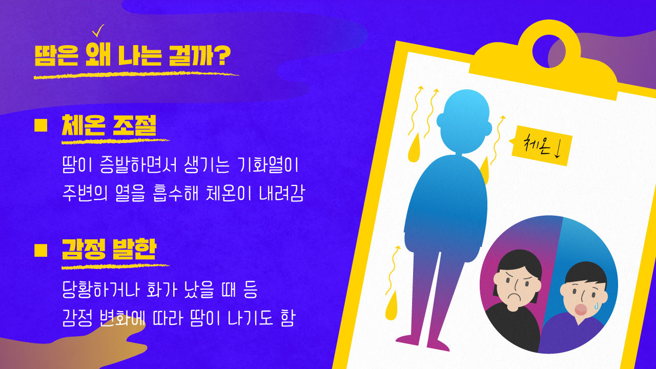 관련 사진