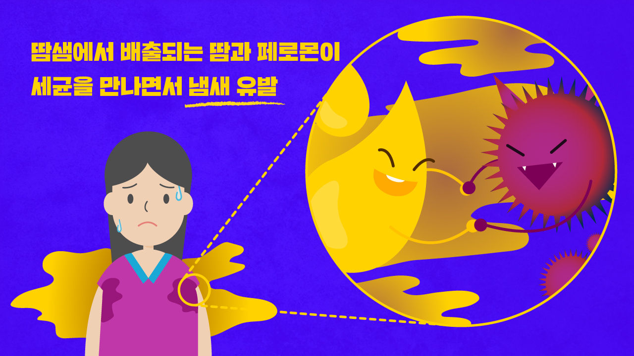 관련 사진