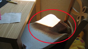 "폭염 속 아파트 창가에 둔 라텍스 베개서 자연발화"