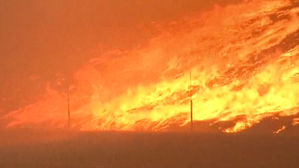 美 서부에 '소용돌이 산불'…서울 면적 절반 넘게 삼켜