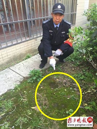 아파트 17층에서 떨어지고도 멀쩡하게 일어난 2살 아이의 사연
