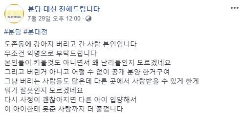 폭염 속 길에 강아지 버리고 간 견주가 한 말…'뭐가 잘못인가