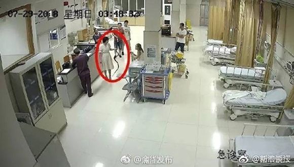 뱀에 물린 여자…침착하게 제압해 팔찌처럼 손에 감고 병원행