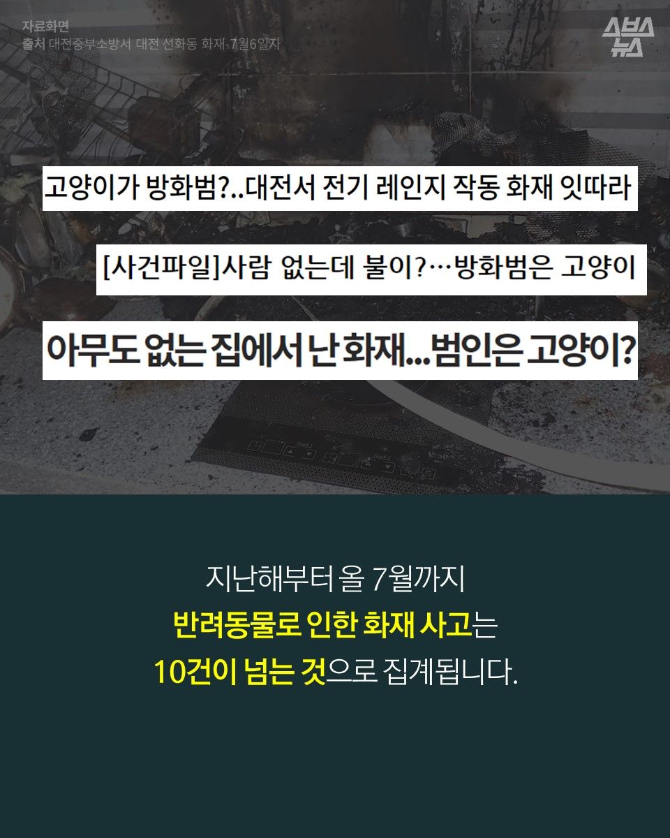 지난해부터 올 7월까지 반려동물로 인한 화재 사고는 10건이 넘는 것으로 집계됩니다.