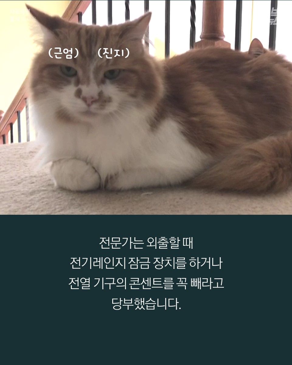 전문가는 외출할 때전기레인지 잠금 장치를 하거나 전열 기구의 콘센트를 꼭 빼라고 당부했습니다.