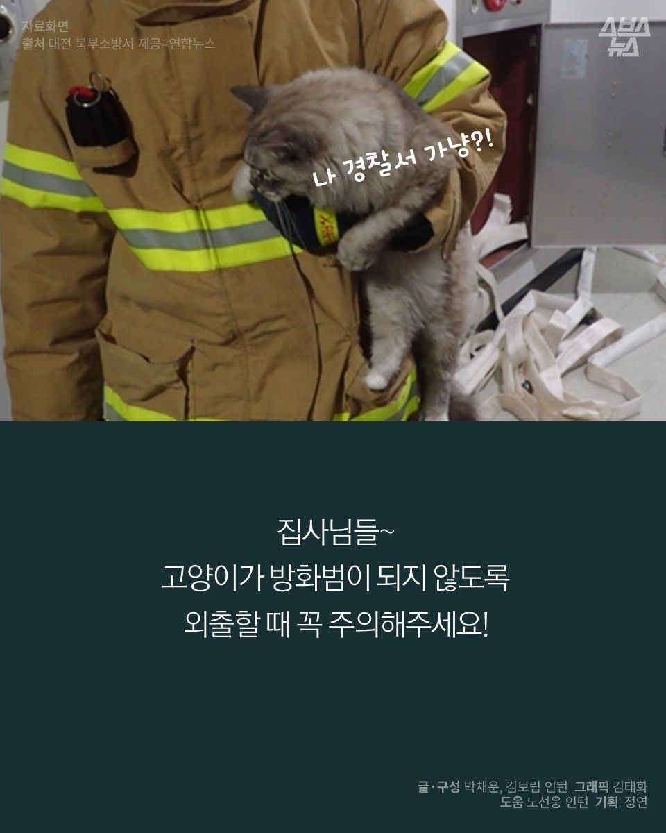 집사님들~ 고양이가 방화범이 되지 않도록 외출할 때 꼭 주의해주세요!